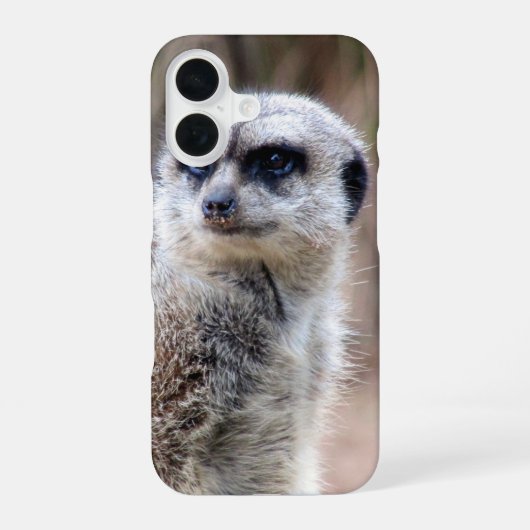 kruiper iPhone 16 hoesje (Achterkant)