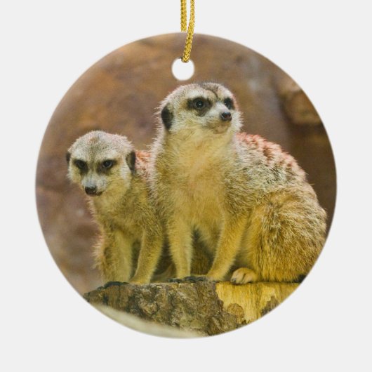 kruiper keramisch ornament (Voorkant)