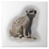 kruiper tegeltje (Voorkant)