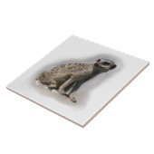 kruiper tegeltje (Zijkant)