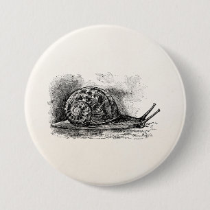  kruipslak Antiek Sjabloon Ronde Button 7,6 Cm