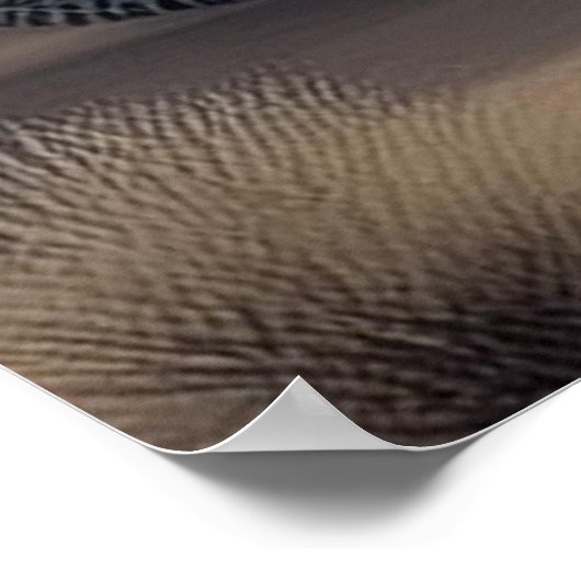 Kruis tussen een tank en een Texas Longhorn Steer Poster (Hoek)