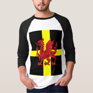 Kruis van St Davids en Welshe Draak Heraldisch Ont T-shirt