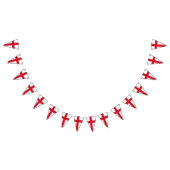 Kruis van St. George ~ Vlag van Engeland Vlaggetjes (Alle)