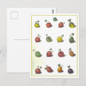  kruisbessen Briefkaart (Voorkant / Achterkant)