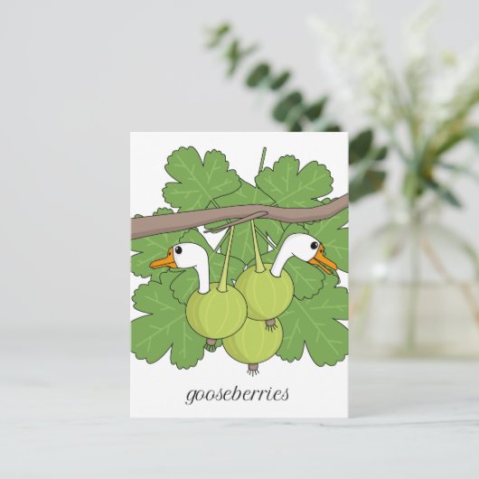 Kruisbessen Briefkaart (Staand voorkant)