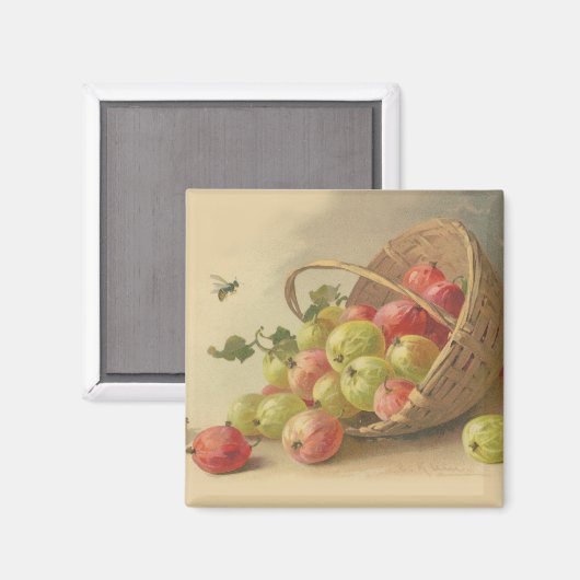  kruisbessen magneet (Voorkant / Achterkant)