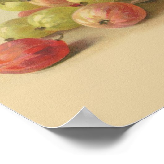  kruisbessen poster (Hoek)