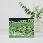 Kruisdoorsnede van leder briefkaart (Staand voorkant)