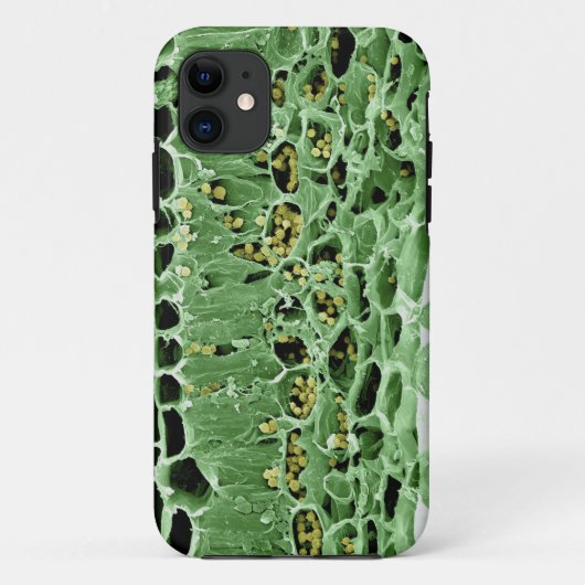 Kruisdoorsnede van leder Case-Mate iPhone case (Achterkant)