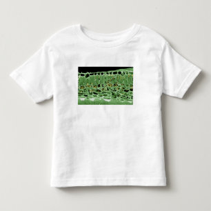 Kruisdoorsnede van leder kinder shirts