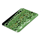 Kruisdoorsnede van leder magneet (Linkerzijde)