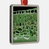 Kruisdoorsnede van leder metalen ornament (Rechts)