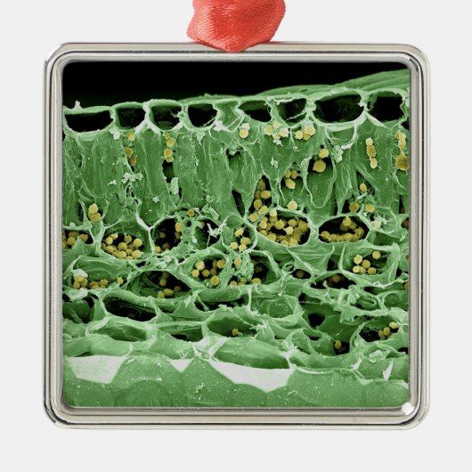 Kruisdoorsnede van leder metalen ornament (Voorkant)