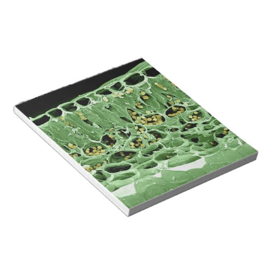 Kruisdoorsnede van leder notitieblok (Schuin)