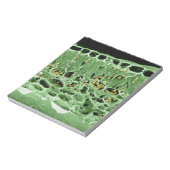 Kruisdoorsnede van leder notitieblok (Linkerzijde)