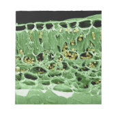 Kruisdoorsnede van leder notitieblok (Voorkant)