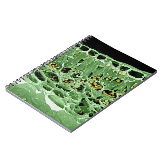 Kruisdoorsnede van leder notitieboek (Linkerzijde)