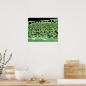 Kruisdoorsnede van leder poster (Keuken)