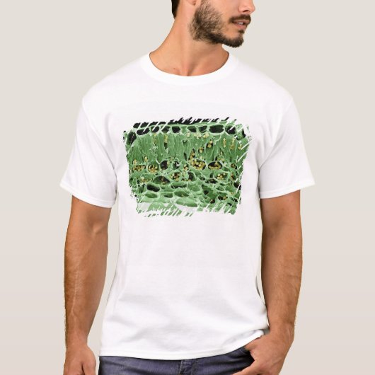 Kruisdoorsnede van leder t-shirt (Voorkant)