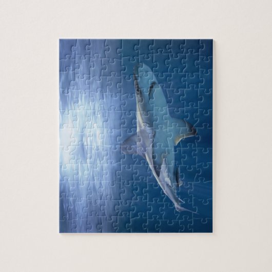 Kruishaai Legpuzzel (Verticaal)