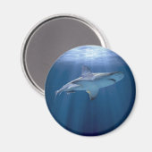 Kruishaai Magneet (Voorkant / Achterkant)