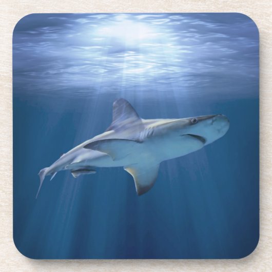 Kruishaai Onderzetter (Voorkant)