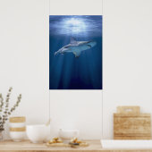 Kruishaai Poster (Keuken)