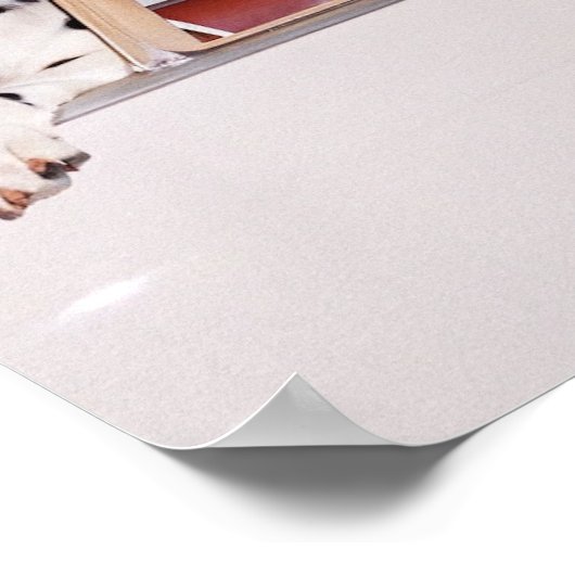 kruising poster (Hoek)