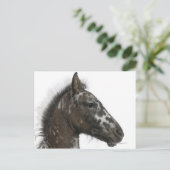 kruising van een Appaloosa met een Briefkaart (Staand voorkant)