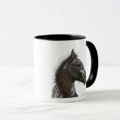 kruising van een Appaloosa met een Mok (Voorkant rechts)