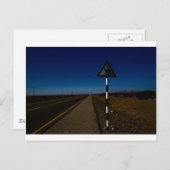 kruising van kamelen briefkaart (Voorkant / Achterkant)