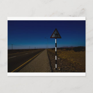 kruising van kamelen briefkaart