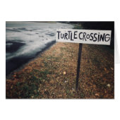 kruising van schildpad (Voorkant Horizontaal)