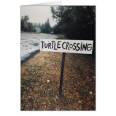 kruising van schildpad (Voorkant)