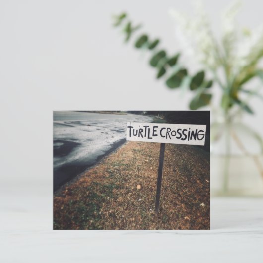kruising van schildpad briefkaart (Staand voorkant)