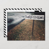 kruising van schildpad briefkaart (Voorkant / Achterkant)