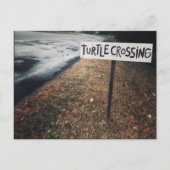 kruising van schildpad briefkaart (Voorkant)