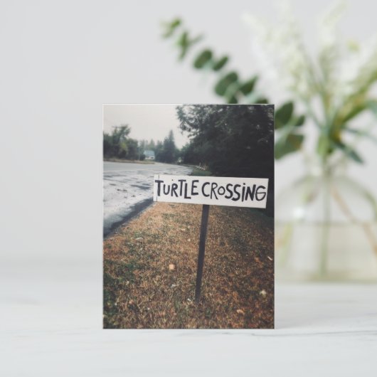 kruising van schildpad briefkaart (Staand voorkant)