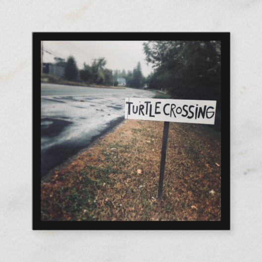 kruising van schildpad vierkante visitekaartje (Voorkant)