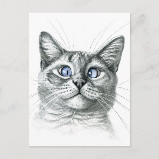 Kruiskatten G122 Briefkaart (Voorkant)