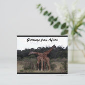 kruisliefde tussen giraffen briefkaart (Staand voorkant)