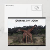 kruisliefde tussen giraffen briefkaart (Voorkant / Achterkant)