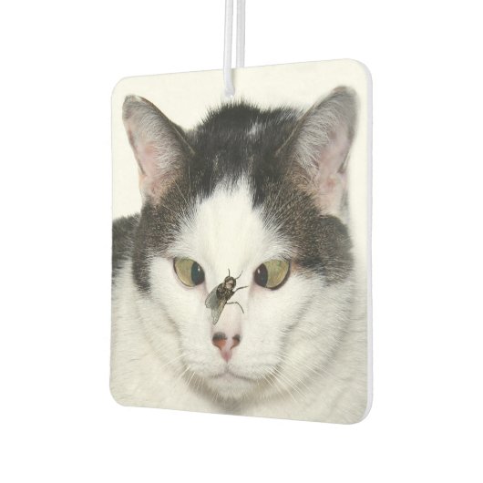 Kruisogen kat en vlieg luchtverfrisser (Links)