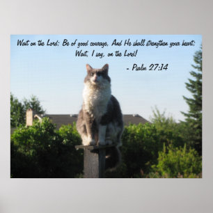 Kruisoogkat en psalm 27:14 poster