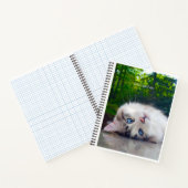 Kruisoogkat Notitieboek (Binnen)