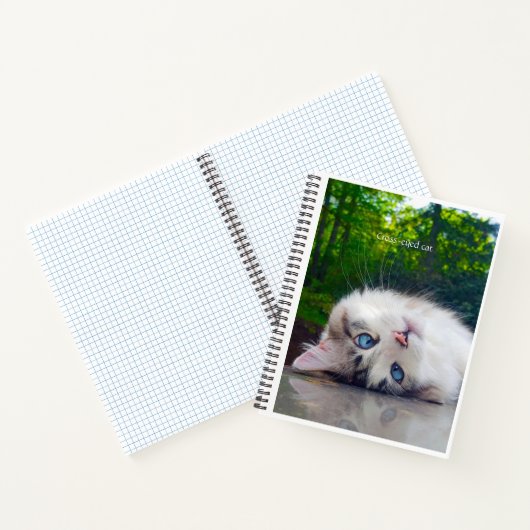 Kruisoogkat Notitieboek (Binnen)