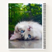 Kruisoogkat Notitieboek (Achterkant)