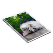 Kruisoogkat Notitieboek (Rechterzijde)