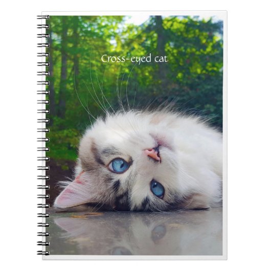 Kruisoogkat Notitieboek (Voorkant)